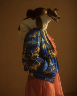 a little fly alf modeling agency india bombay delhi fashion shoot modelling dhruvin platform magazine gucci editorial 