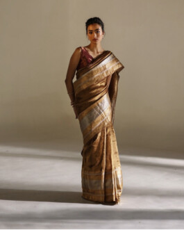 Medhavi Chettri wearing a gold silk sari with silver borders for Mimamsaa 