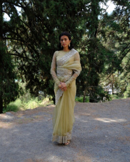 Model Medhavi Chettri in a pastel green embellished saree standing in a forest for Bruhi Pant campaign 
